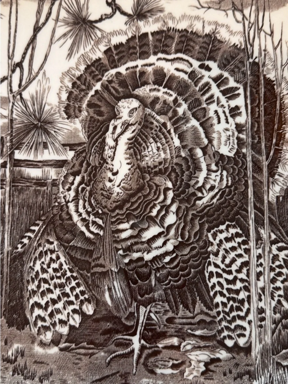 Williams Sonoma Brown and White Turkey Transferware Serving Platter